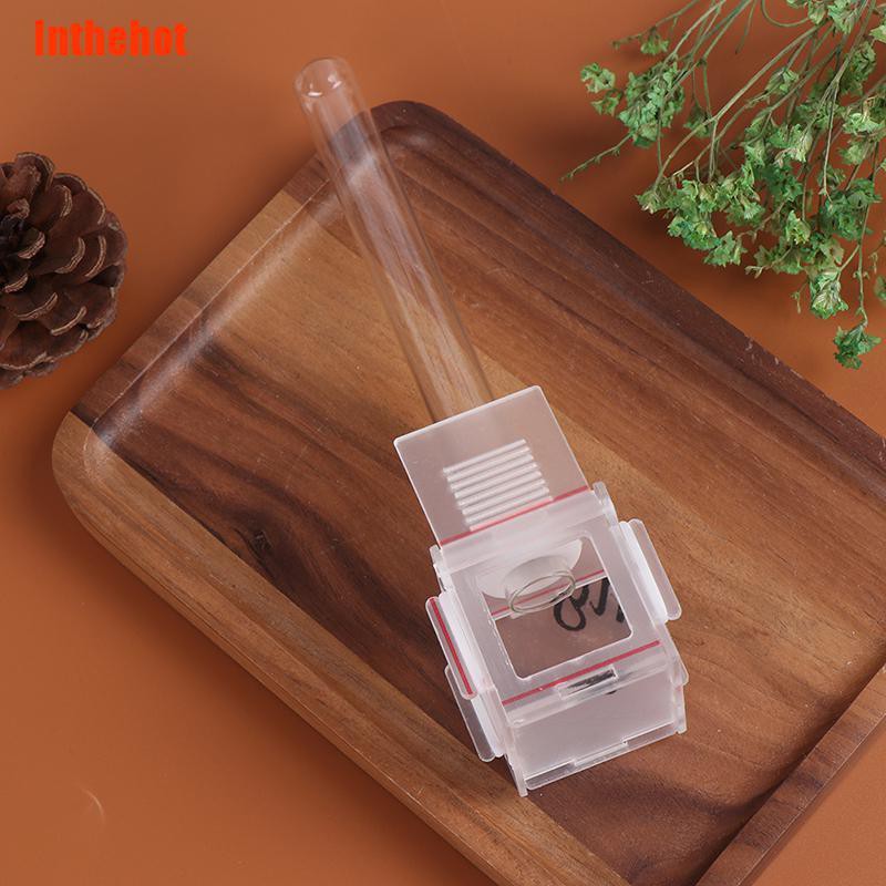 Kiến Mini Trong Suốt