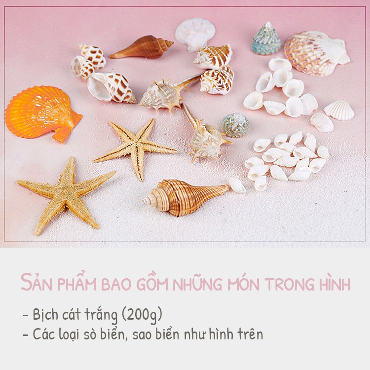 Set chụp ảnh số 7 - Phụ kiện chụp biển (Sò, ốc, cát trắng)