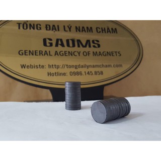 Nam châm Ferrite 30x5mm