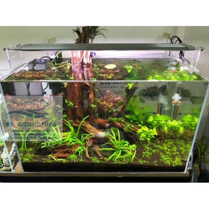 ĐÈN LED WEEK RGB 60CM (Bản dimer)