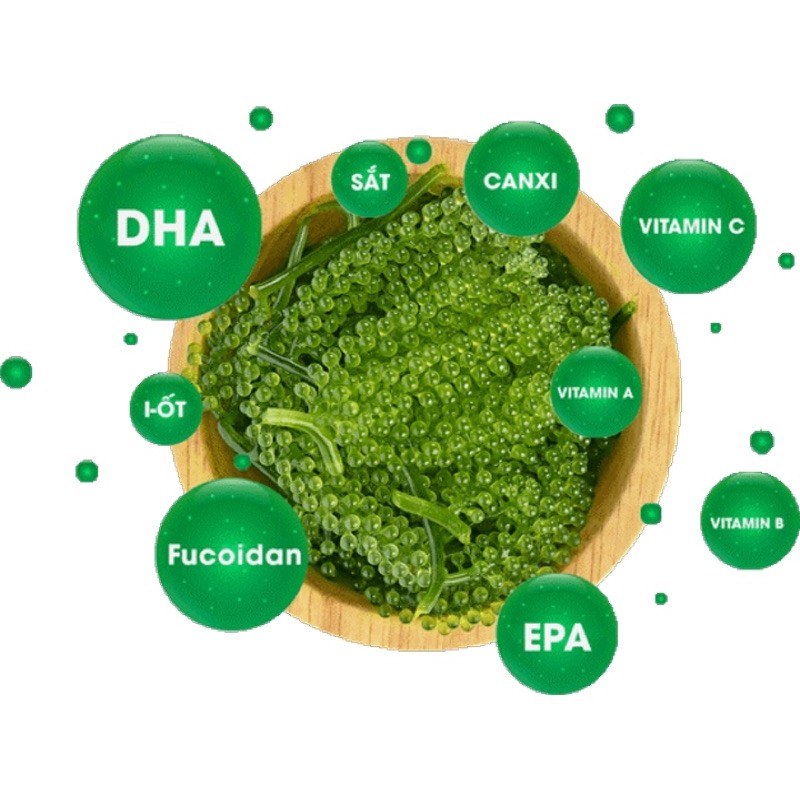 Combo Hộp 200gr (10 Gói) rong nho green Food Organic + tặng 1 Chai sốt mè rang 180ml
