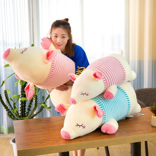 Gấu bông heo faif xinh xắn/ quà tặng