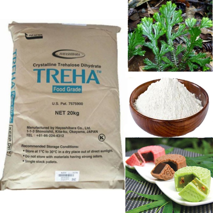 200GR Đường tảo (ít calories) Trehalose Nhật Bản làm bánh kẹo nhập khẩu giá tốt