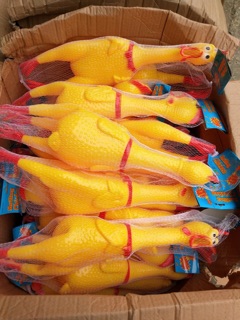 Con gà la hét size to / gà a lử