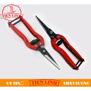 Bộ 2 cái kéo tỉa cành hoa la TL38 tiện lợi giá rẻ