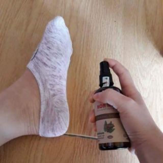 Tinh dầu Quế dạng xịt