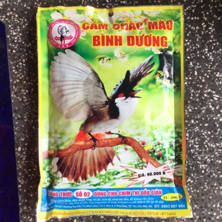 Cám chào mào thi đấu Bình Dương số2