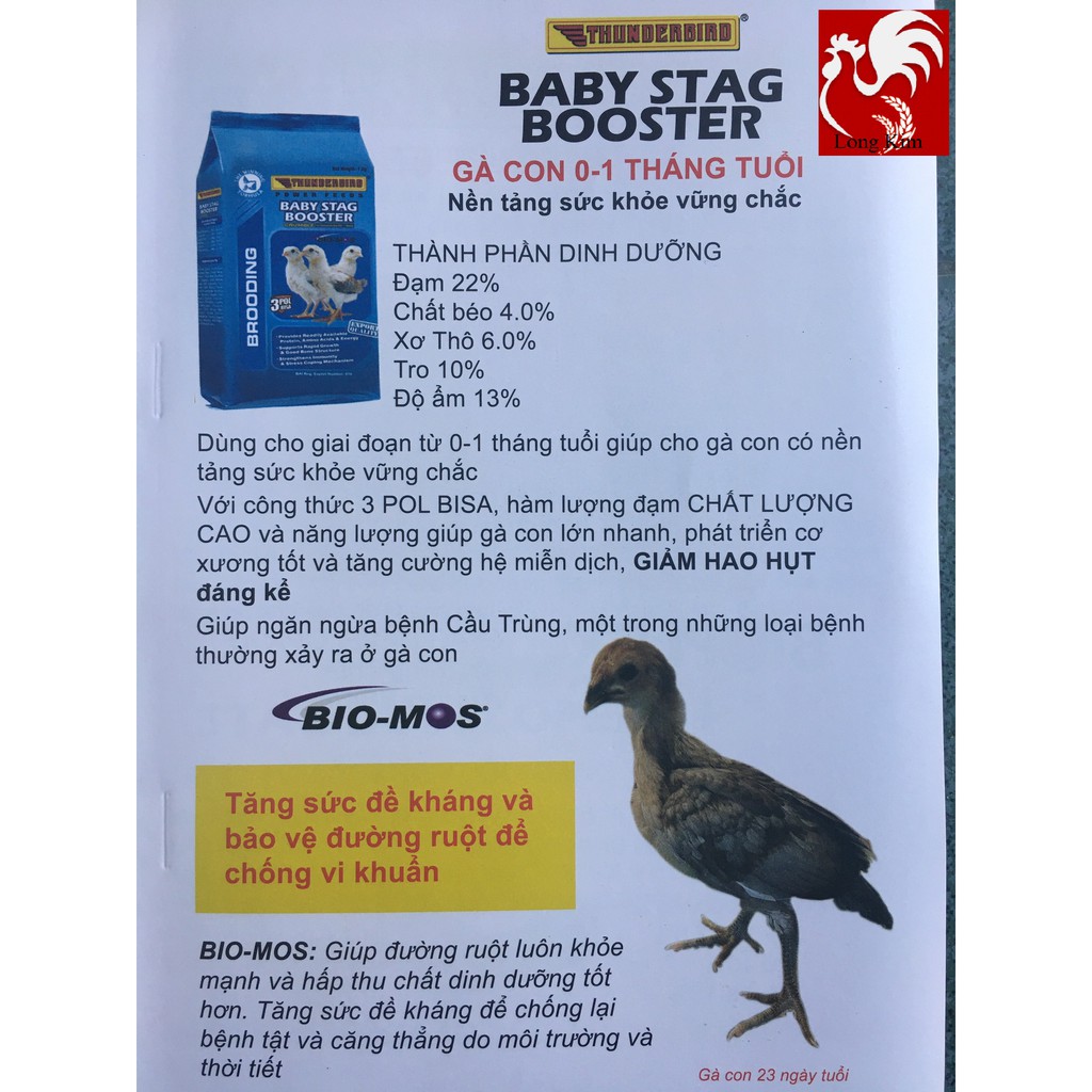 BABY STAG BOOSTER THUNDERBIRD - THỨC ĂN CHO GÀ CON 0 - 1 THÁNG TUỔI