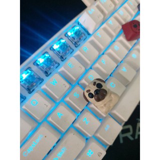 keycap chó pug