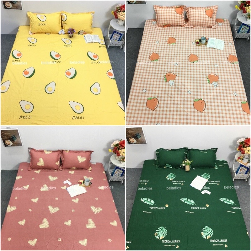 bộ ga và 2 vỏ gối