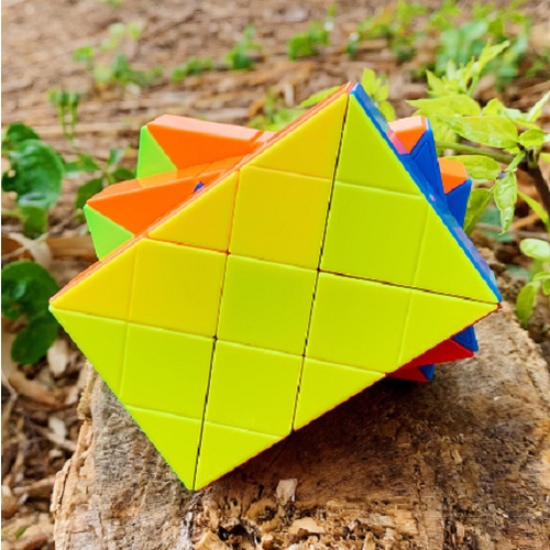 Đồ chơi  Rubik Biến Thể DianSheng ShangGu Ancient Irregular Double Fish 3x3 rubic - đồ chơi trí tuệ