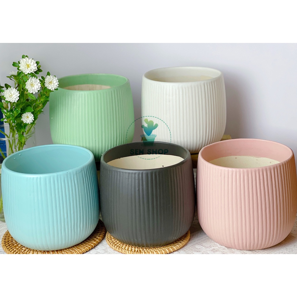 Chậu men trồng cây màu pastel .