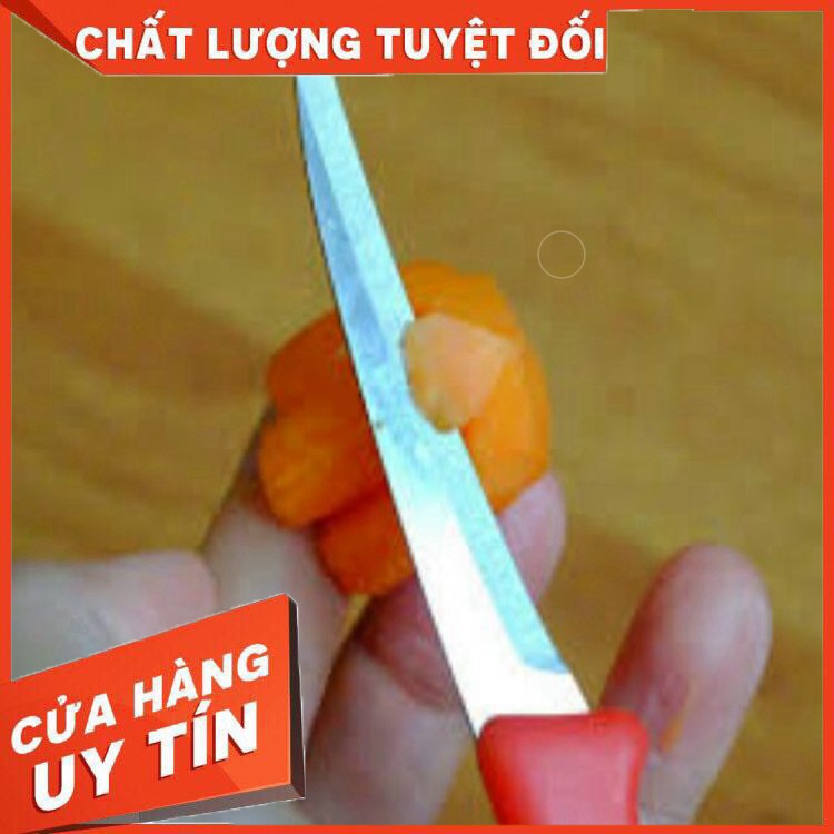 hàng sỉ lẻ Dao tỉa hoa quả kiwi Thái Lan sắc bén tạo kiểu hoa quả N01 hàng  đẹp  tiện lợi chính hãng