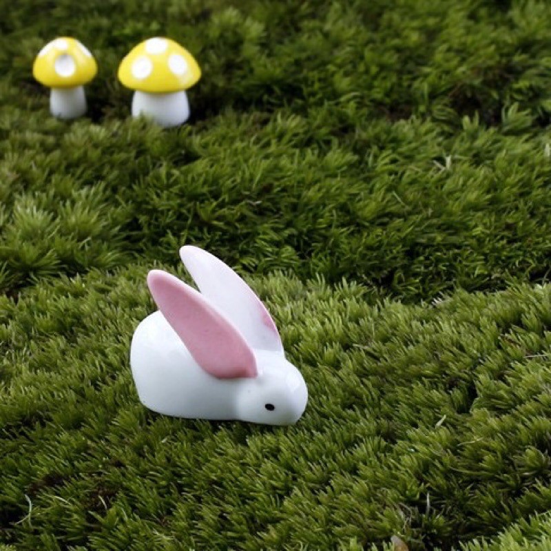 phụ kiện thỏ con mini