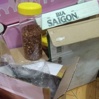 Gấu bông của đinh ngọc đào