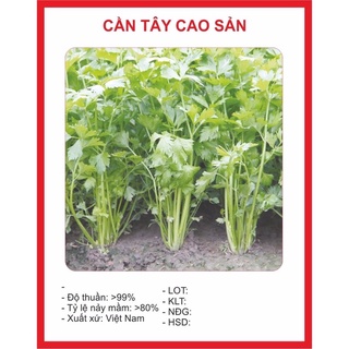 Hạt giống Cần Tây 2gr