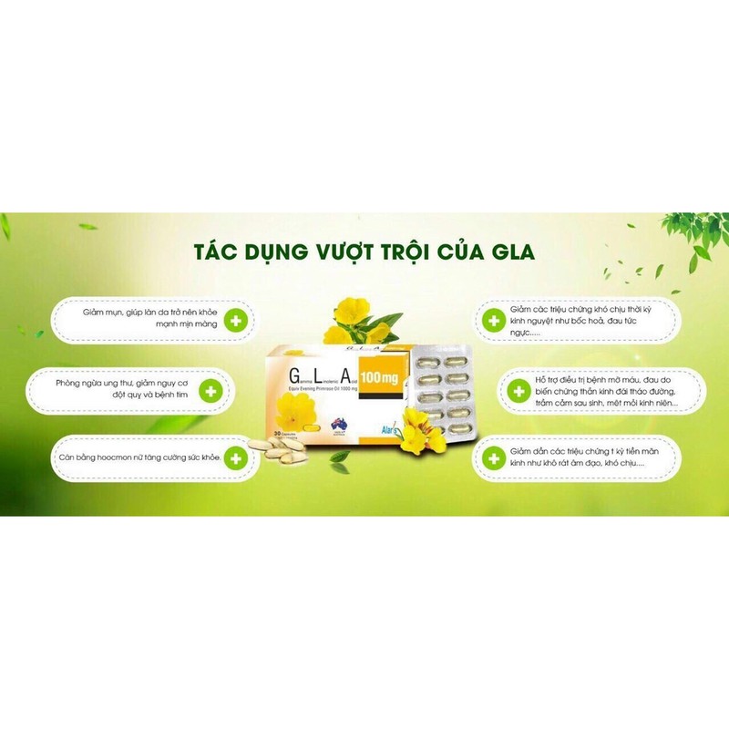 Viên uống nội tiết G.L.A