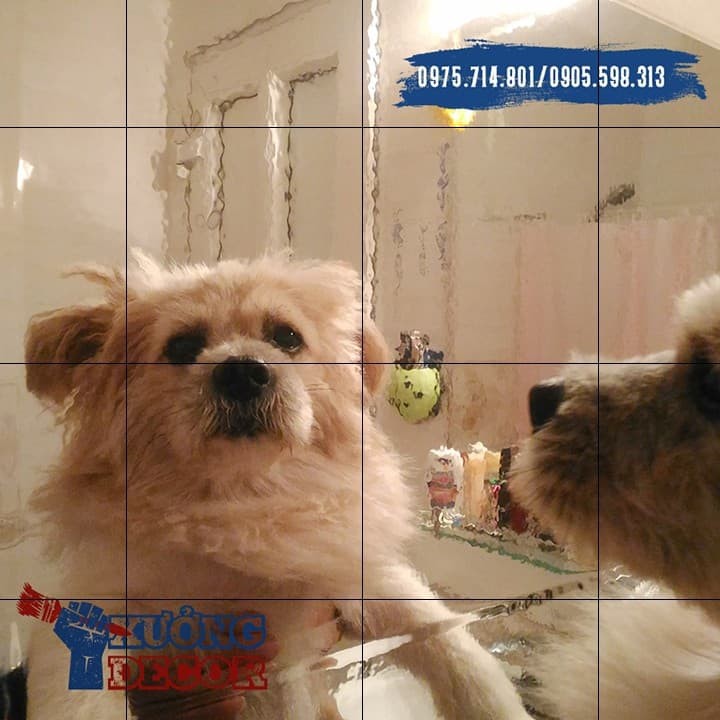 Gương-Dán-Đa-Năng-G15-bộ 9 miếng