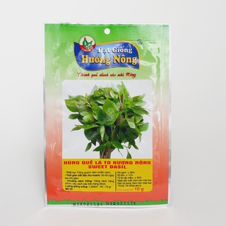 Hạt giống rau quế xanh