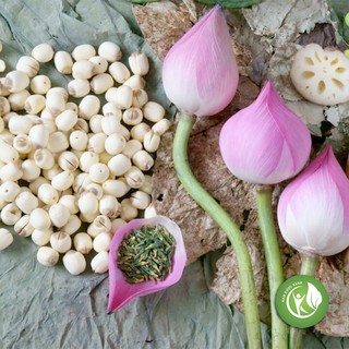 Hạt Sen 1KG - ND108