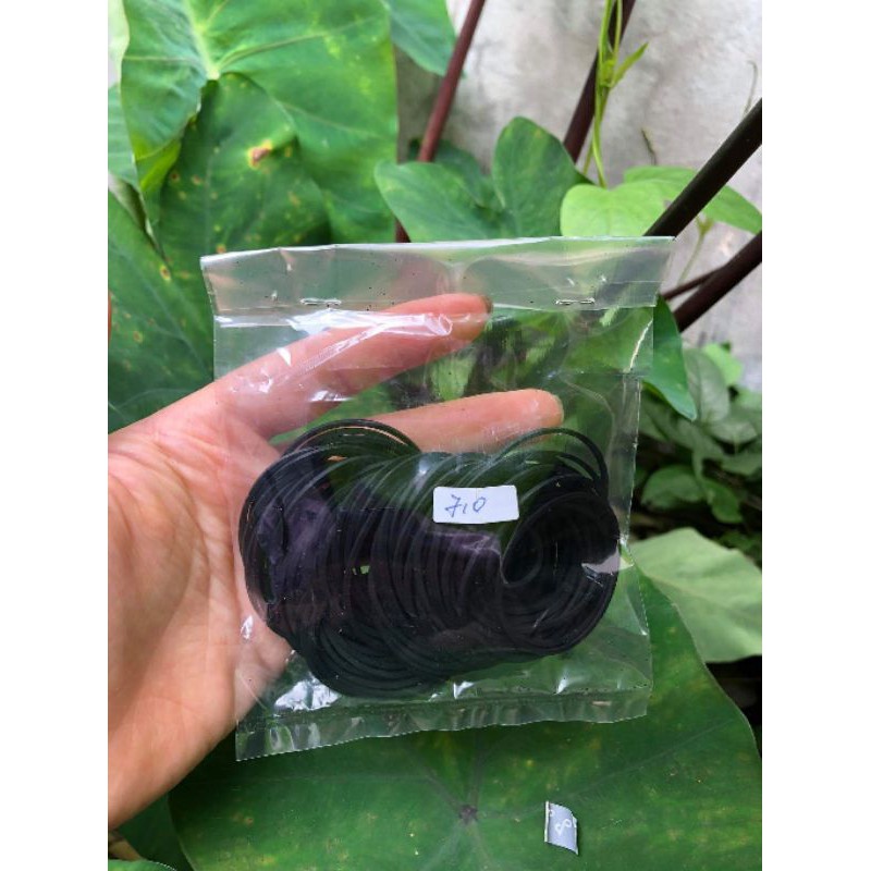 Dây Curoa Đài Cassette bản 1mm