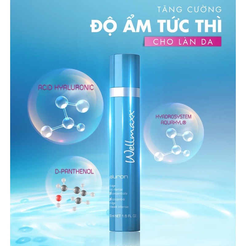 Gel dưỡng ẩm cho da khô Wellmaxx Hyaluron Moist Intense Gel Concentrate