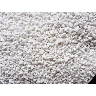 Đá Perlite - Đá trân châu túi 0,5 kg