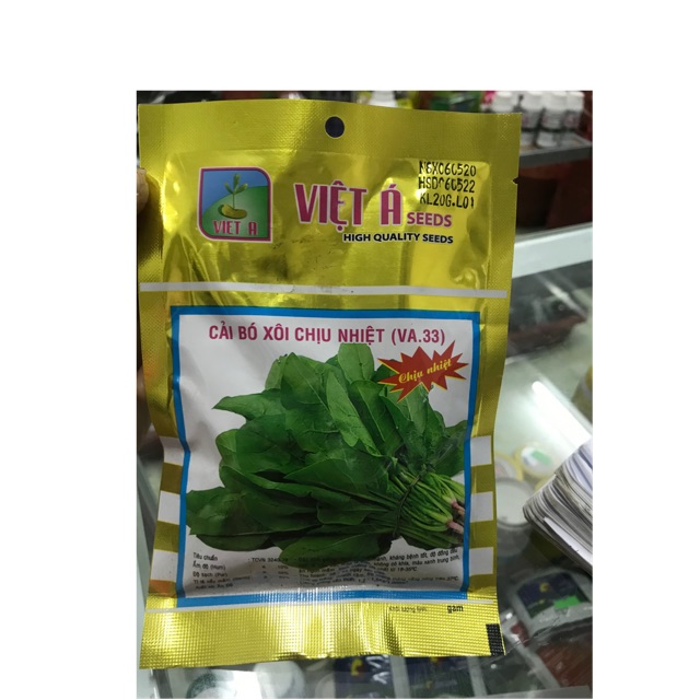 Hạt giống cải bó xôi chịu nhiệt