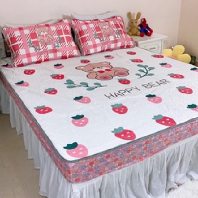 Chiếu bo chun cao su non 5D loại 1 thoáng mát ,dày dặn (tặng kèm 2 vỏ gối)