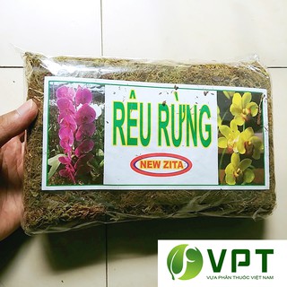 Rêu rừng NEW ZITA đã qua xử lý