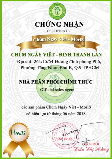 [Masa- Mẫu Tết] Trà chùm ngây túi lọc (24 túi) (Kèm gợi ý giỏ quà)