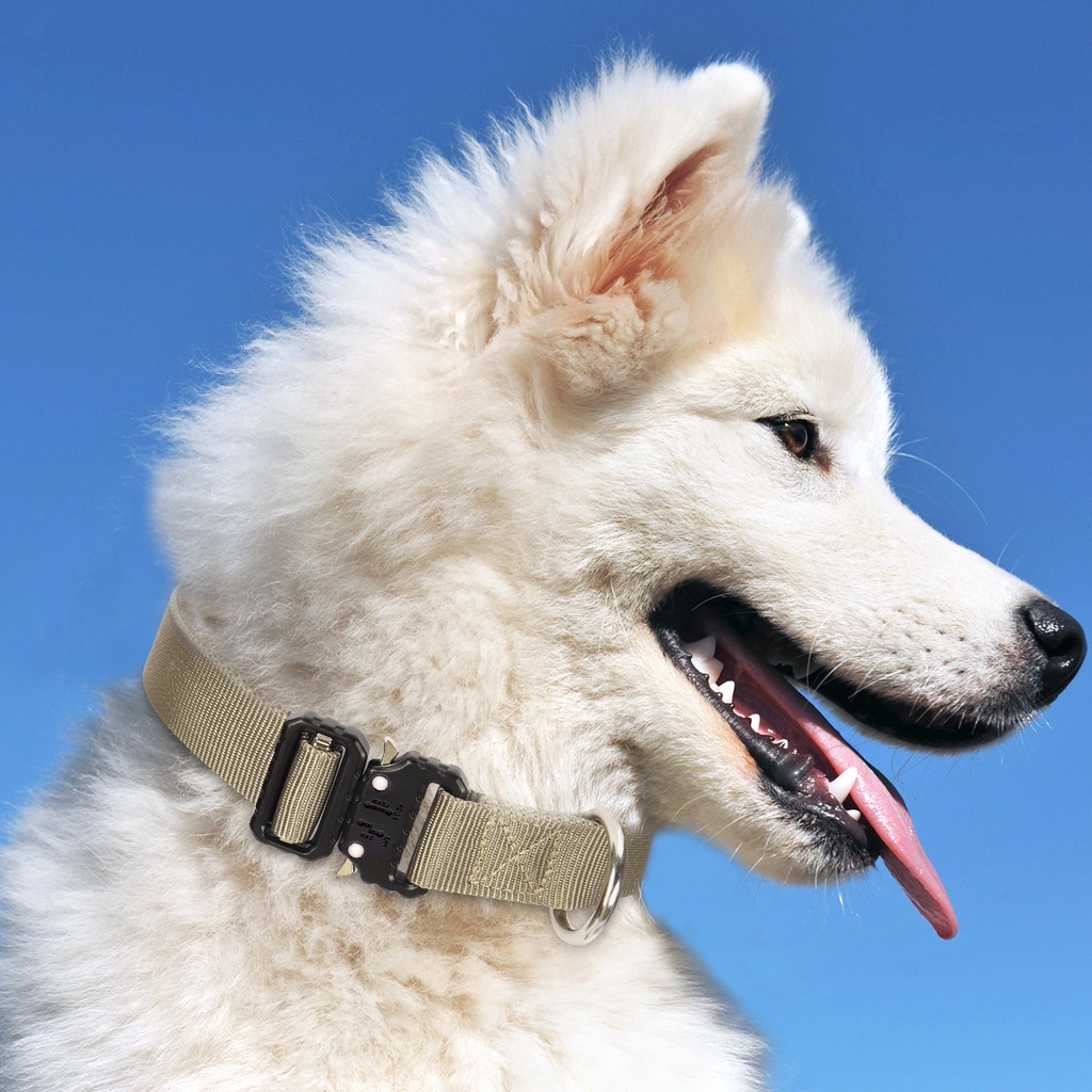 Vòng Cổ Nylon Khóa Kim Loại Cho Chó K9