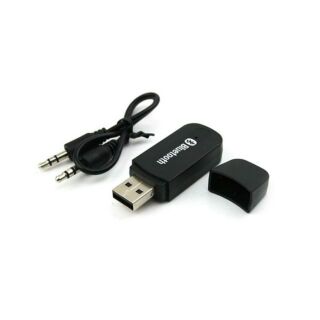 Usb thu bluetooth 301