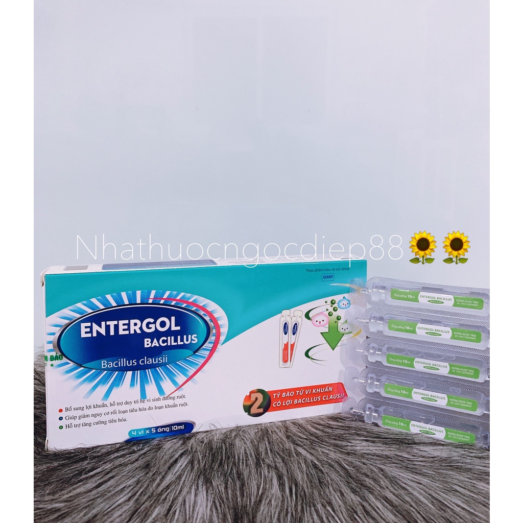 Men tiêu hóa bổ sung 2 tỷ lợi khuẩn ENTERGOL BACILLUS - giảm rối loạn tiêu hóa hiệu quả cho trẻ từ 2 tuổi