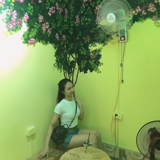 Đơn chị chim câu