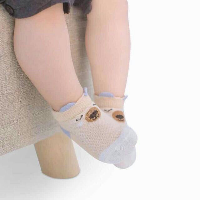 [Lẻ = Sỉ] Sét 5 đôi tất lưới cổ thấp Kid's Socks