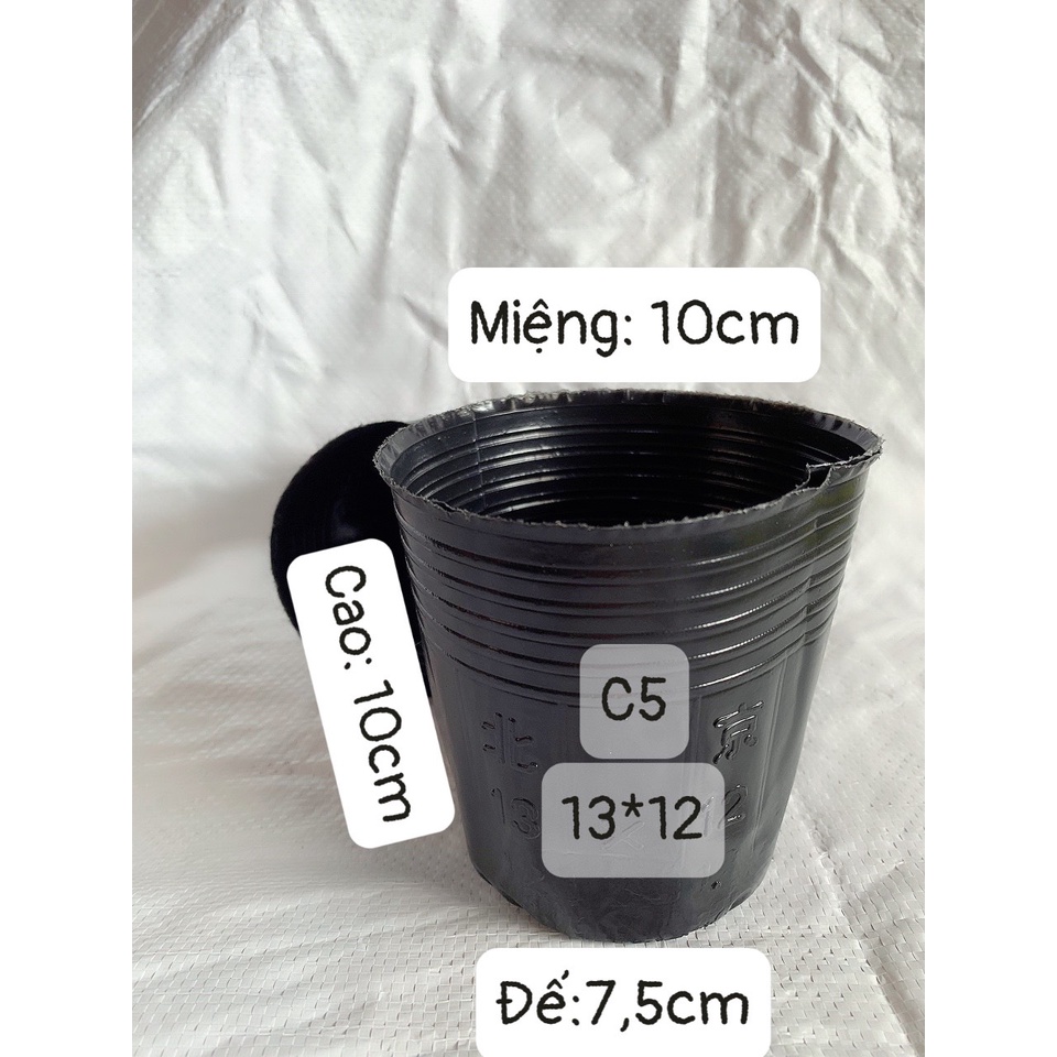 BẦU ƯƠM CÂY 13*12 ( DỊCH TRUYỀN CHO CÂY, KÍCH RỄ , MẦM CÂY XANH LÁ, LƯỚI CHE NẮNG...)