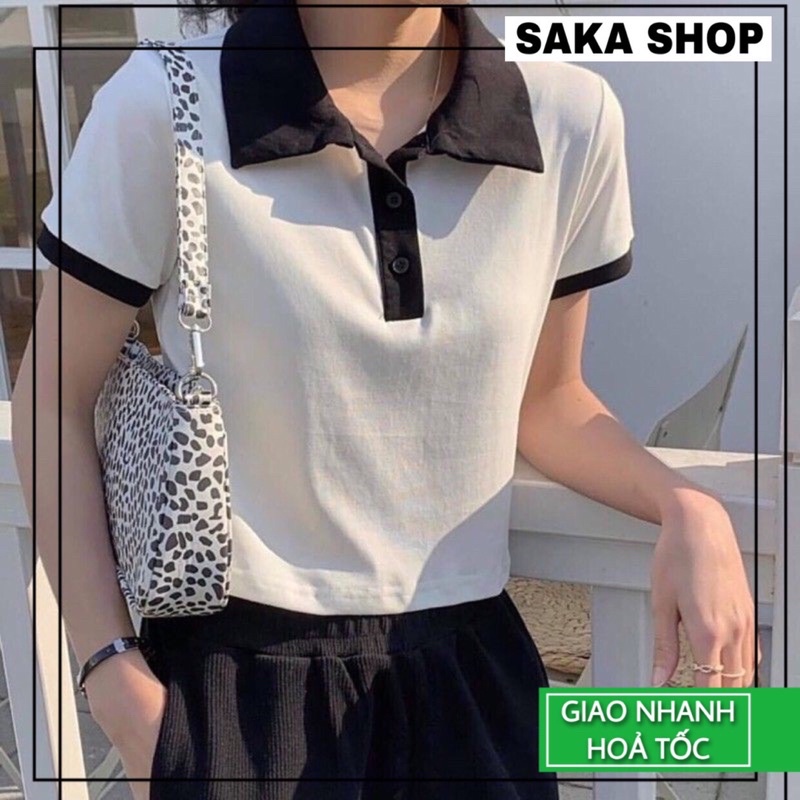 Áo thun nữ tay ngắn cổ sơ mi phối màu dễ thương