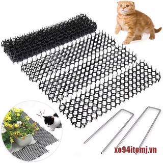 Thảm gai đuổi mèo côn trùng bảo vệ sân vườn