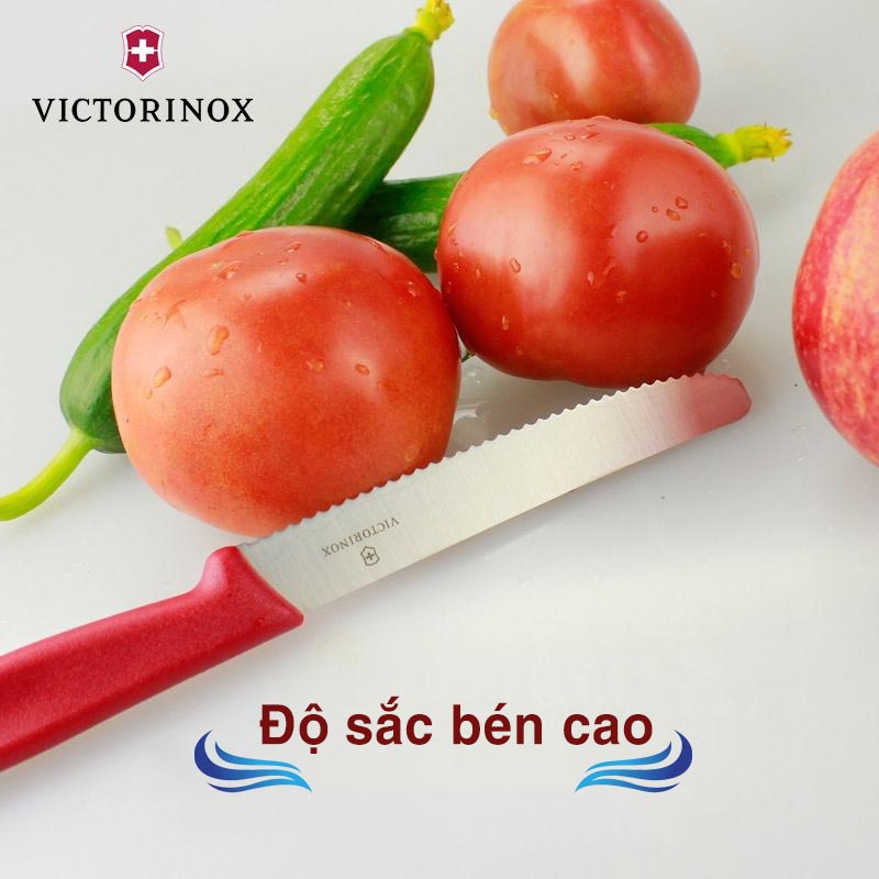 Dao gọt hoa quả Victorinox Swiss Made Thụy Sĩ, dao gọt trái cây sắc bén lưỡi răng cưa 11cm