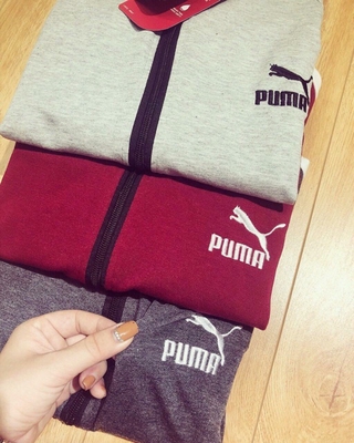 Bộ puma