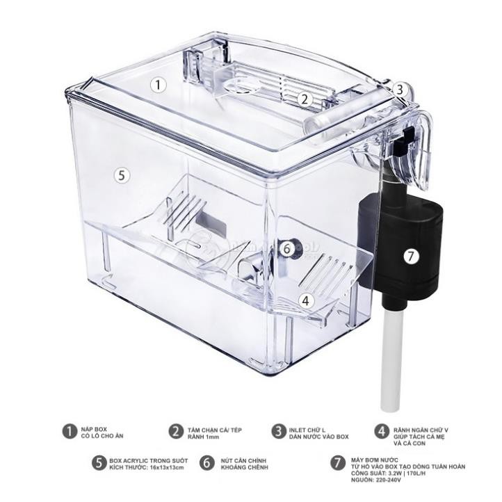 ☘ Box Tép, Lồng Cách Ly Cá Tép Ngoài | Lồng Dưỡng Cá Cảnh Treo Ngoài Có Bơm Tạo Dòng Tuần Hoàn Nước