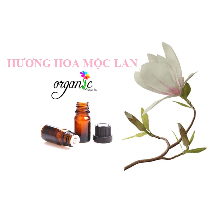 HƯƠNG HOA MỘC LAN