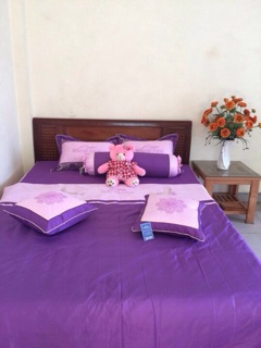 Chăn ga gối satin 2016