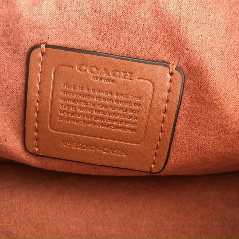 TÚI COACH BRYNN FLAP