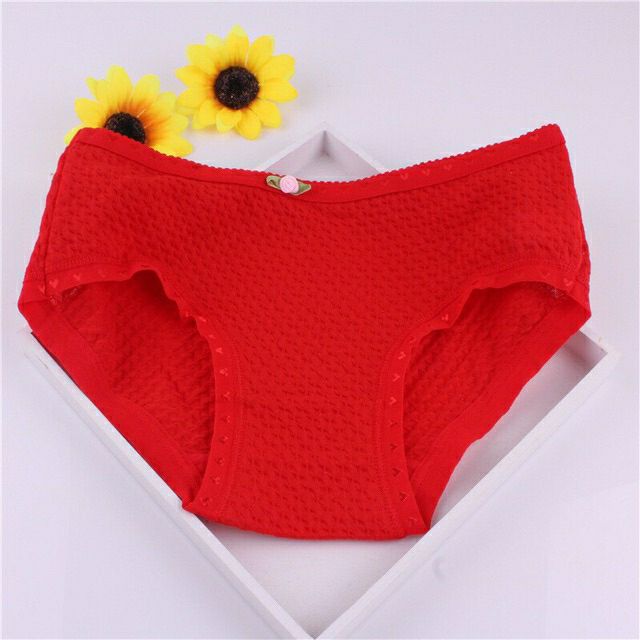 Set 10 Quần Lót Cotton Phối Tăm Sợi Tre MÃ 855