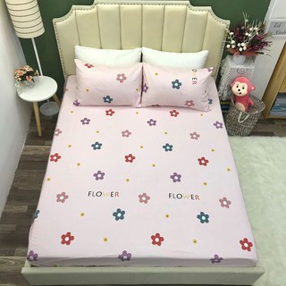 Set Chăn Ga Gối Cotton Lụa !! (Ảnh Chụp Thật)