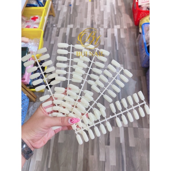 MÓNG GẮN SỔ 120Móng