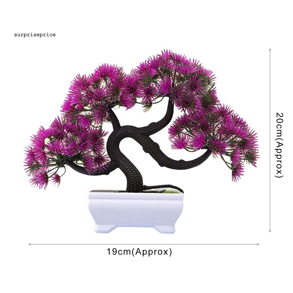 Chậu Cây Bonsai Giả Trang Trí