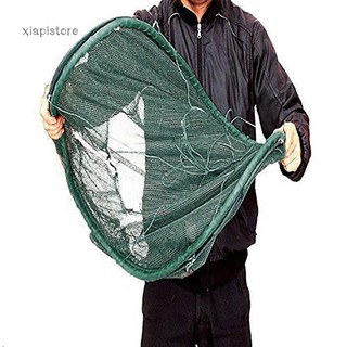Lưới gấp bắt cá tự động tiện lợi